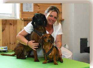 Praxis Tierphysiotherapie Akupunktur